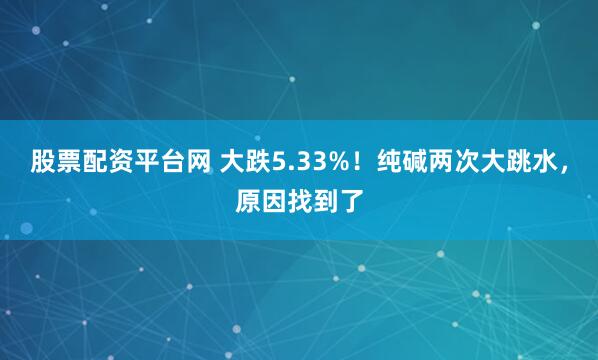 股票配资平台网 大跌5.33%！纯碱两次大跳水，原因找到了