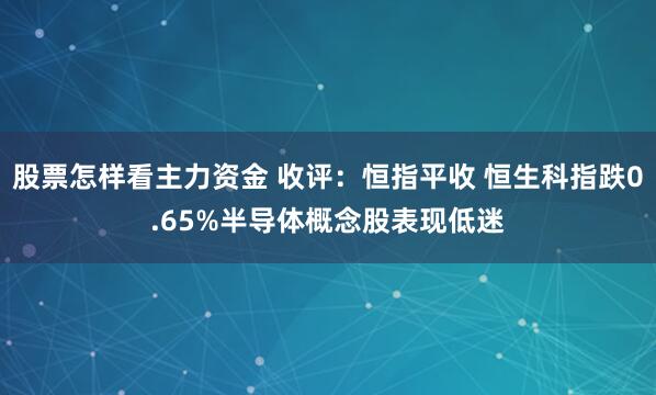 股票怎样看主力资金 收评：恒指平收 恒生科指跌0.65%半导体概念股表现低迷