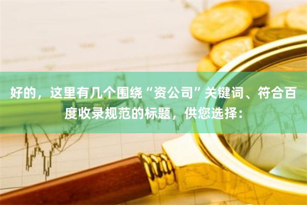好的，这里有几个围绕“资公司”关键词、符合百度收录规范的标题，供您选择：