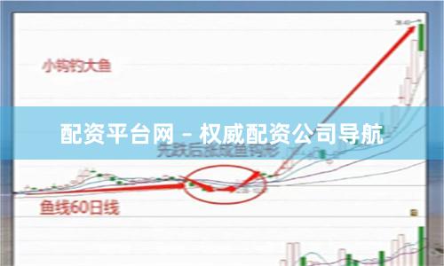 配资平台网 – 权威配资公司导航