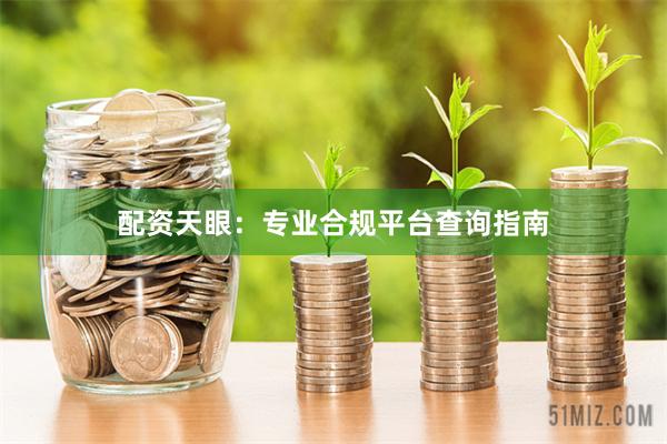 配资天眼:专业合规平台查询指南