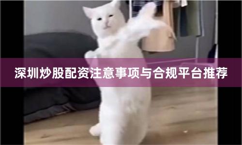 深圳炒股配资注意事项与合规平台推荐